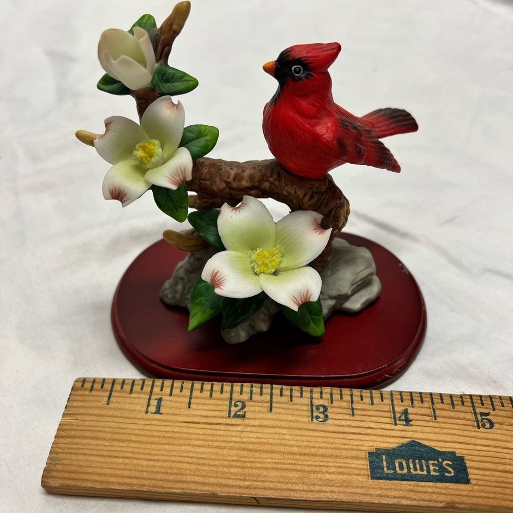 Bird collection - Picture 8 of 16
